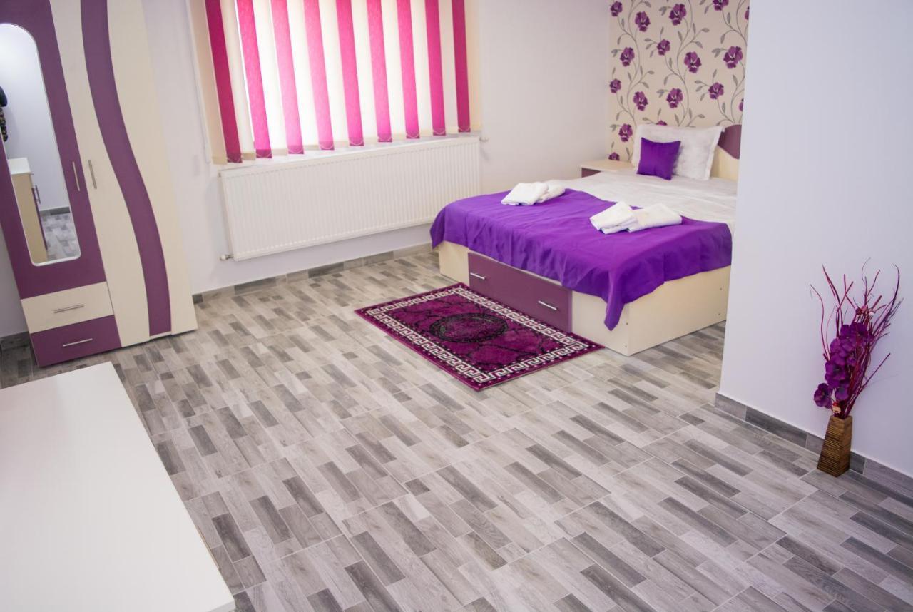 Casa Erk Bed and Breakfast Călimăneşti Εξωτερικό φωτογραφία