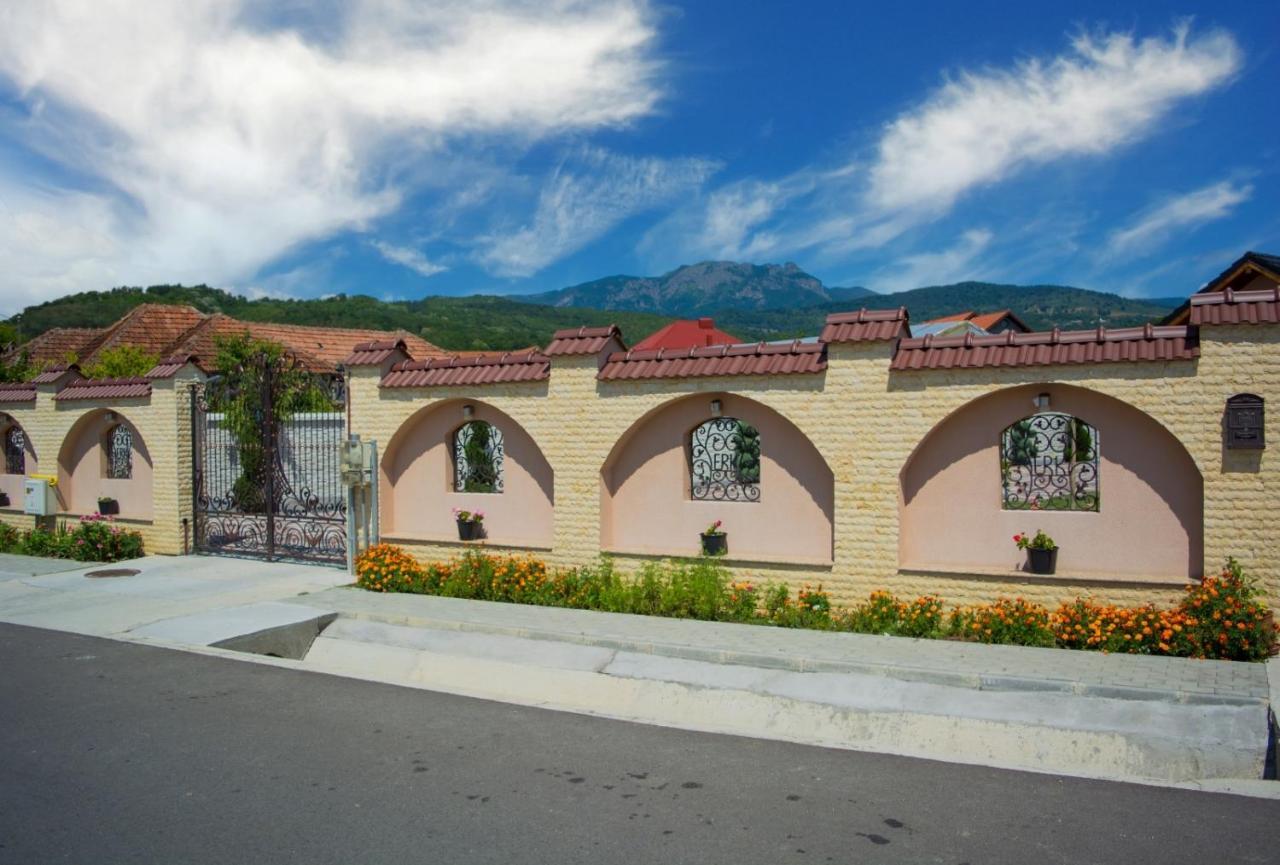 Casa Erk Bed and Breakfast Călimăneşti Εξωτερικό φωτογραφία