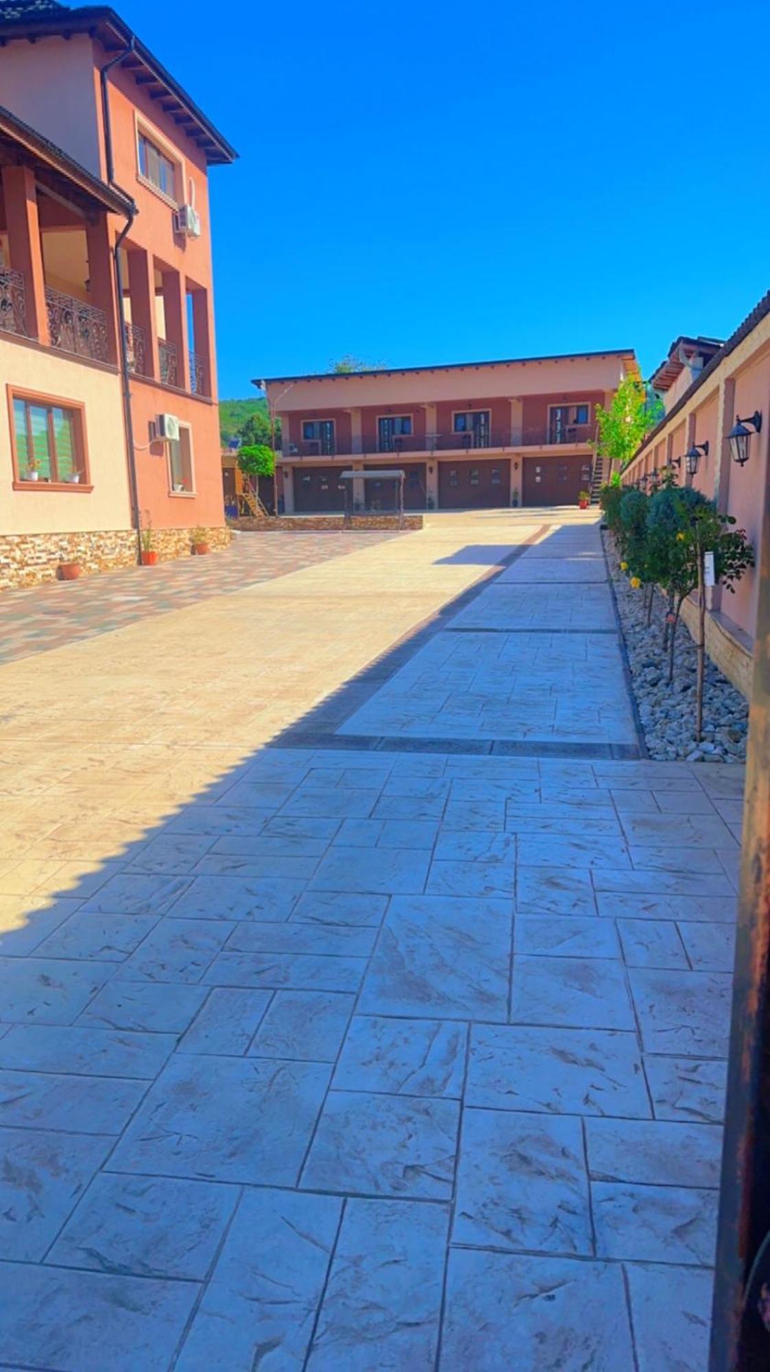 Casa Erk Bed and Breakfast Călimăneşti Εξωτερικό φωτογραφία